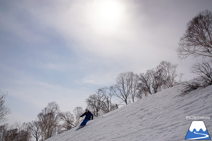 DYNASTAR SKI series Test Ride Days 2017 in ニセコユナイテッド【Day.2】～ニセコグラン・ヒラフ～